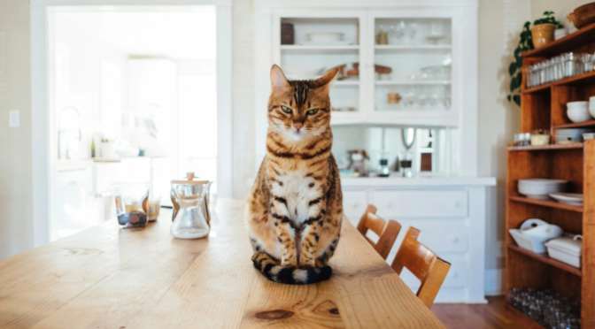 At Home with Style